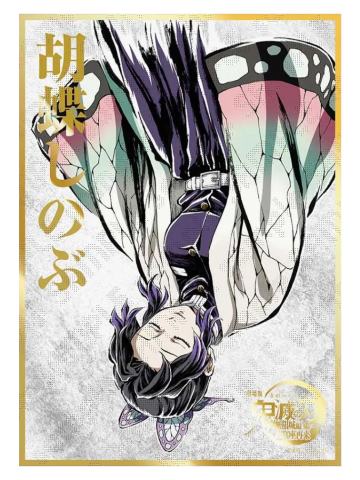 蝴蝶忍-B赏亚克力色纸