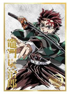 灶门炭治郎-B赏亚克力色纸