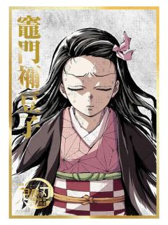 灶门祢豆子-B赏亚克力色纸