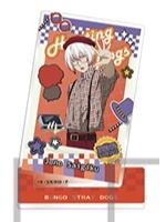 条野采菊斜插立牌-摄影TAKE2