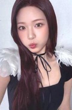 tint版专卡5 ver.B