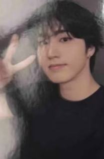 快闪波士顿包卡5