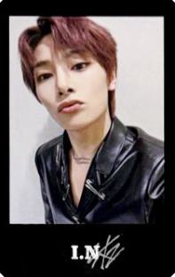 展会小卡set8 ver.D