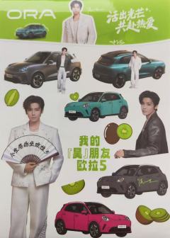 欧拉汽车代言贴纸