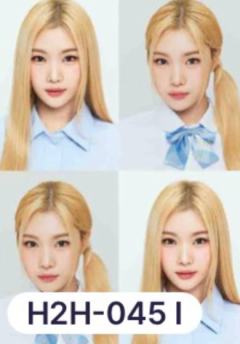 teleca珍稀卡5 ver.A