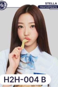 teleca常规卡4 ver.A