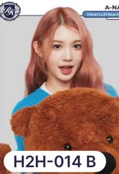 teleca常规卡6 ver.C