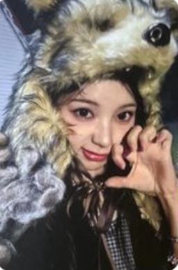 tint版qr专卡1 ver.B