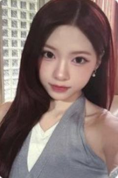 tint版qr专卡5 ver.C