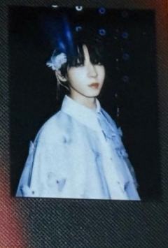 肆意少年见面会单人款拍立得 博文ver.B