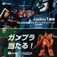 HGUC 夏亚专用扎古II EneKey Ver.-资料图