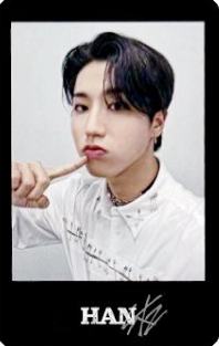 展会小卡set5 ver.D