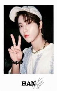 展会小卡set5 ver.A