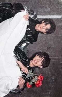 one有引力团款双人卡 航苏