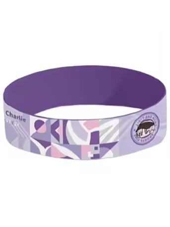 查理苏发带-光跃启航系列