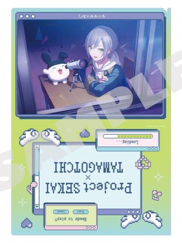 日野森志步1文件夹-拓麻歌子联动系列