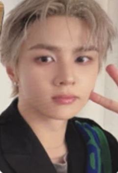 ornament版专卡 挪