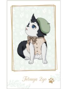 哲也二号拍立得-南家糖植物图鉴绿间ver.