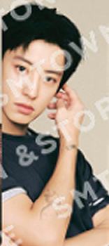 场周随机卡 灿 官拍ver.