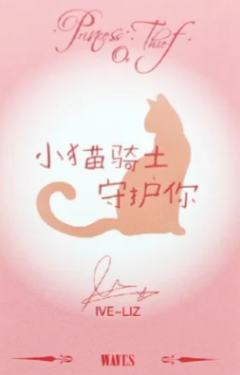 漫潮C版杂志卡 ver.B-资料图