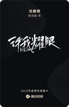 沈皓明-许我耀眼-资料图