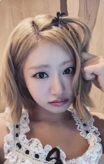 ms签售4.0 1 线下ver.