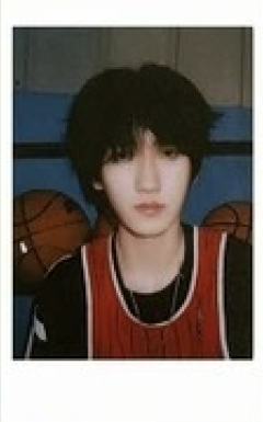 奇函 突围SR卡 ver.F