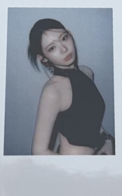 ny签售拍立得 茶