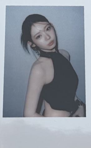 ny签售拍立得 茶