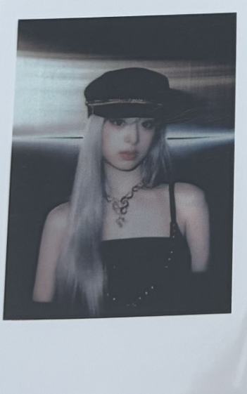 ny签售拍立得 贤