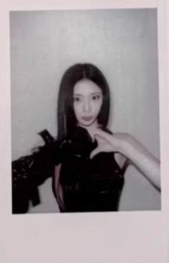 ny签售拍立得 露