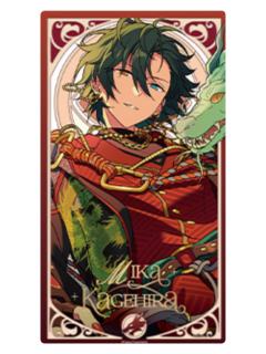 影片美伽小卡-冬日奇境系列