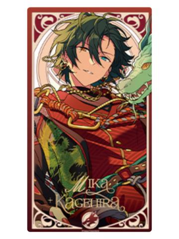 影片美伽小卡-冬日奇境系列