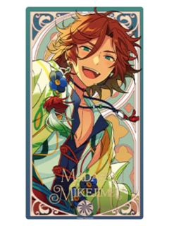 三毛缟斑B小卡-冬日奇境系列