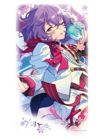 花群冬芽小卡-冬日奇境系列