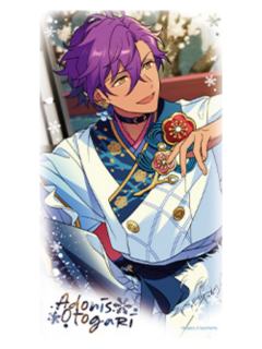 乙狩阿多尼斯小卡-冬日奇境系列