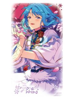 紫之创A小卡-冬日奇境系列