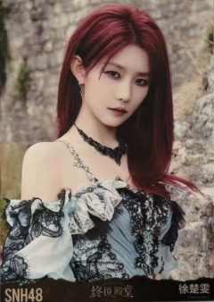 徐楚雯 终极殿堂TOP16汇报单月别生写 ver.C