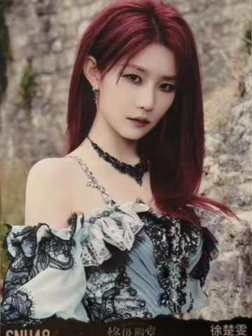 徐楚雯 终极殿堂TOP16汇报单月别生写 ver.C