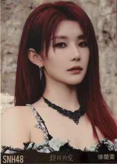 徐楚雯 终极殿堂TOP16汇报单月别生写 ver.B