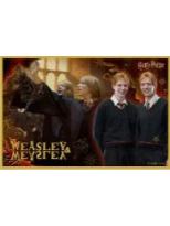 乔治·韦斯莱&弗雷德·韦斯莱(小隐藏)-学院时光系列带框装饰画盲袋