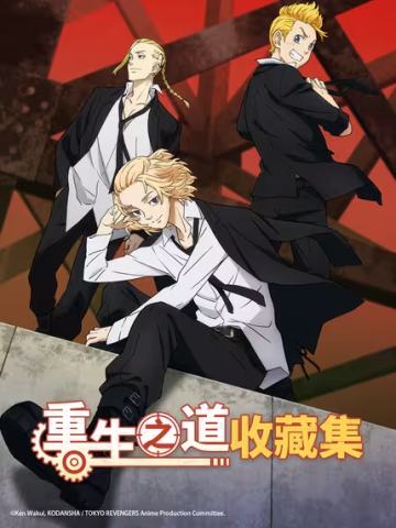 重生之道收藏集