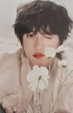 新年音乐会热爱小卡 桂源 ver.A