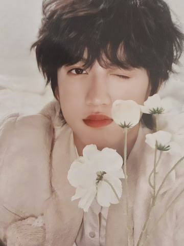 新年音乐会热爱小卡 桂源 ver.A