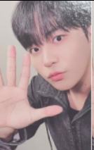 七周年快闪B版随机卡8 ver.A