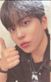 七周年快闪B版随机卡8 ver.E