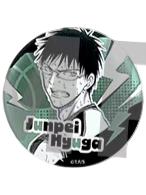 日向顺平徽章-JS中国浮雕风