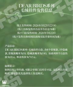 DEAR BIRDS系列毛绒挂件-资料图