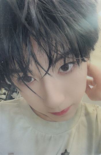 TF家族四代-0