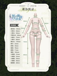 时之隙与八音盒-资料图